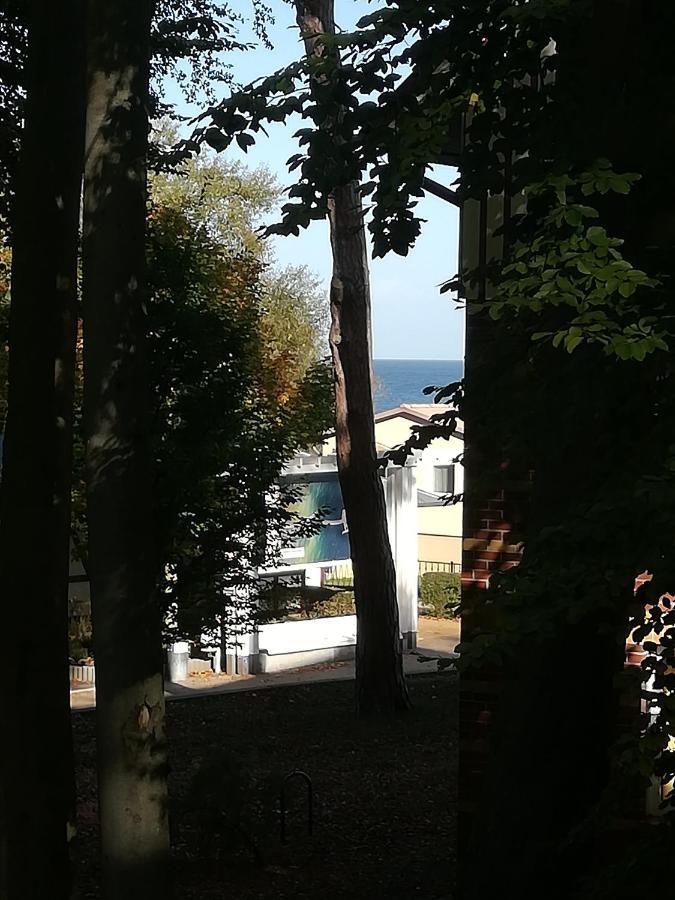 Ostseetraum Koserow Bagian luar foto