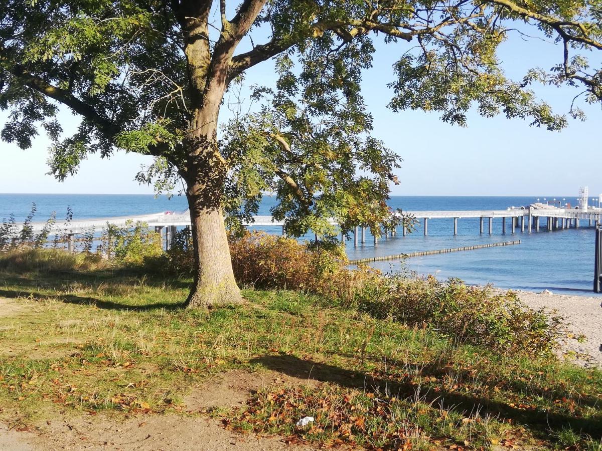 Ostseetraum Koserow Bagian luar foto